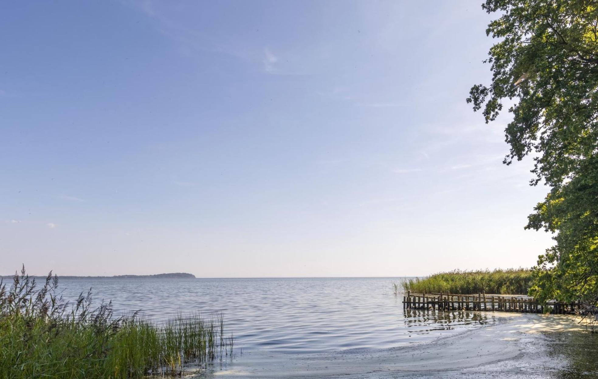 Ferienwohnung Hafenliebe, Villa Vilmblick Mit Meerblick Lauterbach  Kültér fotó